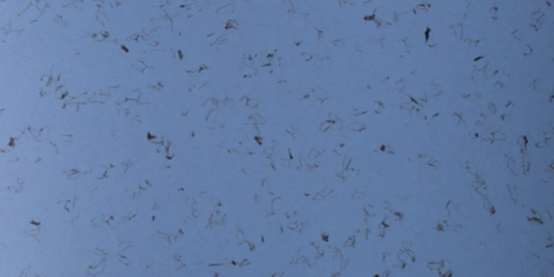 A JHPAE18801 Homogeneous Anti-static PVC flooring