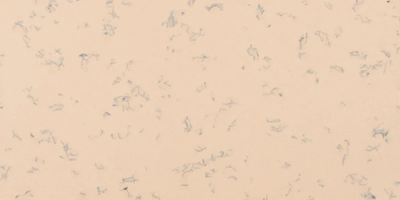 A JHPAE18802 Homogeneous Anti-static PVC flooring