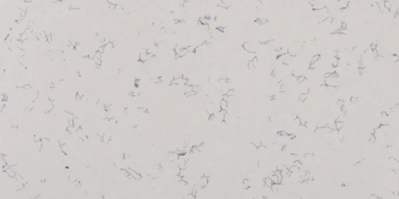 A JHPAE18808 Homogeneous Anti-static PVC flooring