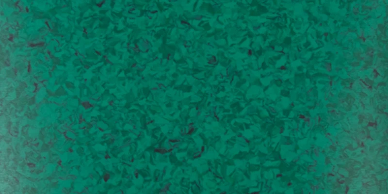 A JHPAE18810 Homogeneous Anti-static PVC flooring