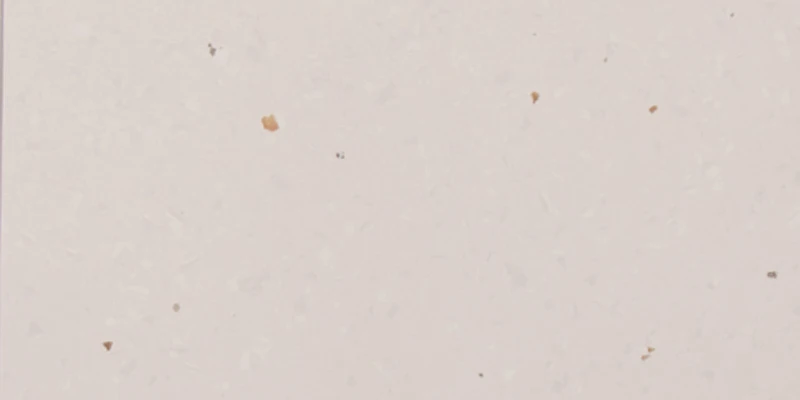 A JHPNT19157 homogeneous PVC flooring