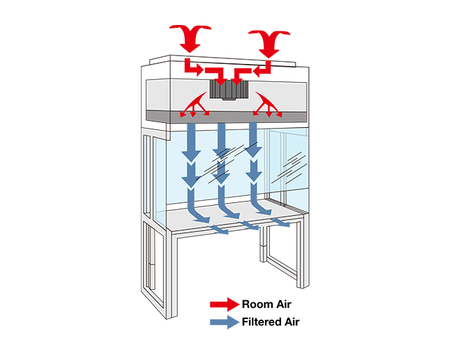 Cross-sectional diagram of the internal working principle of the laminar flow hood